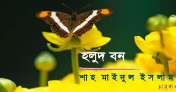 শাহ মাইদুল ইসলামের কবিতা